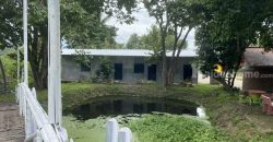 ขายรีสอร์ทพร้อมสวนอาหาร ใน จ.ลำพูน บนที่ดินขนาด 5-3-15.2 ไร่ บรรยากาศท่ามกลางธรรมชาติ วิวเขาและทุ่งนา