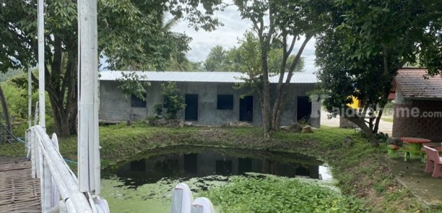 ขายรีสอร์ทพร้อมสวนอาหาร ใน จ.ลำพูน บนที่ดินขนาด 5-3-15.2 ไร่ บรรยากาศท่ามกลางธรรมชาติ วิวเขาและทุ่งนา