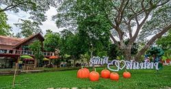 ขายรีสอร์ทพร้อมสวนอาหาร ใน จ.ลำพูน บนที่ดินขนาด 5-3-15.2 ไร่ บรรยากาศท่ามกลางธรรมชาติ วิวเขาและทุ่งนา