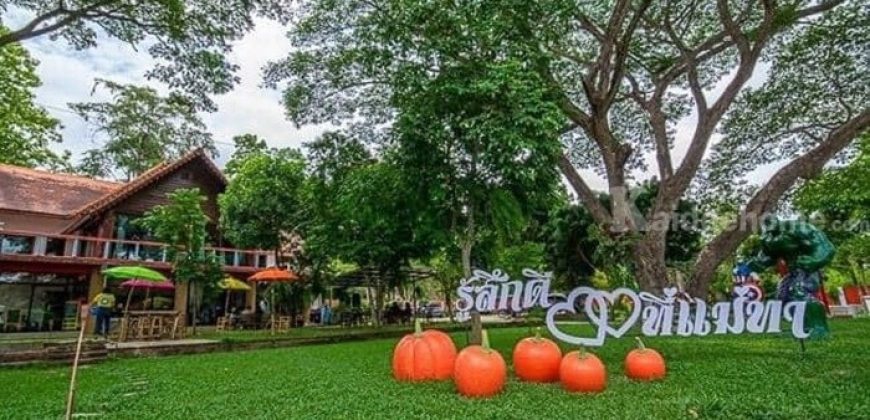 ขายรีสอร์ทพร้อมสวนอาหาร ใน จ.ลำพูน บนที่ดินขนาด 5-3-15.2 ไร่ บรรยากาศท่ามกลางธรรมชาติ วิวเขาและทุ่งนา