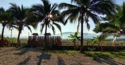 ขายรีสอร์ทพร้อมสวนอาหาร ใน จ.ลำพูน บนที่ดินขนาด 5-3-15.2 ไร่ บรรยากาศท่ามกลางธรรมชาติ วิวเขาและทุ่งนา