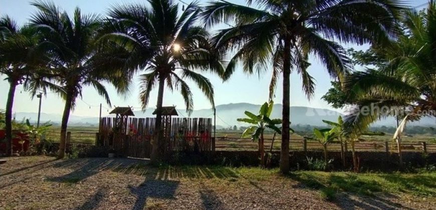 ขายรีสอร์ทพร้อมสวนอาหาร ใน จ.ลำพูน บนที่ดินขนาด 5-3-15.2 ไร่ บรรยากาศท่ามกลางธรรมชาติ วิวเขาและทุ่งนา