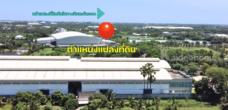 ขายที่ดิน ตำบลขุนแก้ว นครปฐม ติดถนนพุทธมณฑลสาย 8 เกือบ 10 ไร่ รูปแปลงสวย