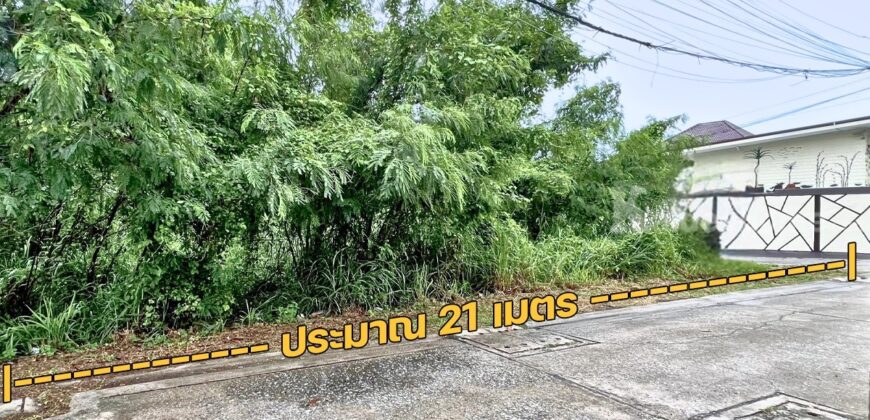 ขายที่ดิน ระยอง เชิงเนิน เมืองระยอง ระยอง  แปลงมุม 104 ตารางวา ถมแล้ว นครระยอง 75 ราคาถูก ขายที่ดิน ระยอง เชิงเนิน เมืองระยอง ระยอง  แปลงมุม 104 ตารางวา ถมแล้ว นครระยอง 75 ราคาถูก