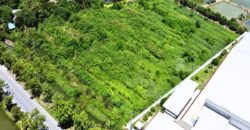 ขายที่ดิน ตำบลขุนแก้ว นครปฐม ติดถนนพุทธมณฑลสาย 8 เกือบ 10 ไร่ รูปแปลงสวย