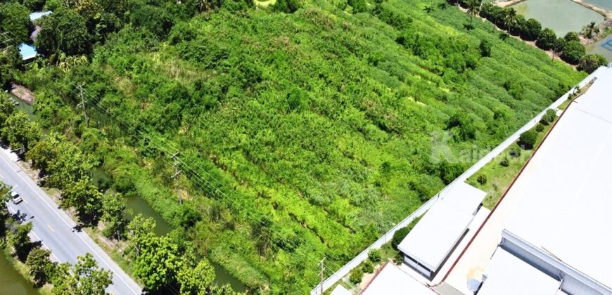 ขายที่ดิน ตำบลขุนแก้ว นครปฐม ติดถนนพุทธมณฑลสาย 8 เกือบ 10 ไร่ รูปแปลงสวย