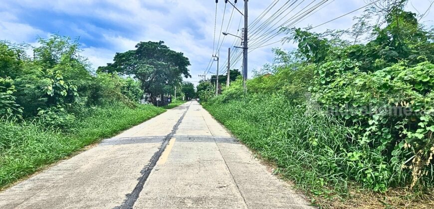 ขายที่ดิน มีนบุรี แปลงมุม 70 ตารางวา ถมแล้ว ไมตรีจิต 2 ราคาถูก