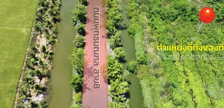 ขายที่ดิน ตำบลขุนแก้ว นครปฐม ติดถนนพุทธมณฑลสาย 8 เกือบ 10 ไร่ รูปแปลงสวย