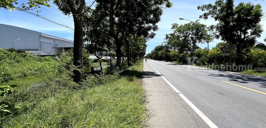 ขายที่ดิน ตำบลขุนแก้ว นครปฐม ติดถนนพุทธมณฑลสาย 8 เกือบ 10 ไร่ รูปแปลงสวย