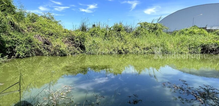 ขายที่ดิน ตำบลขุนแก้ว นครปฐม ติดถนนพุทธมณฑลสาย 8 เกือบ 10 ไร่ รูปแปลงสวย