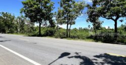 ขายที่ดิน ตำบลขุนแก้ว นครปฐม ติดถนนพุทธมณฑลสาย 8 เกือบ 10 ไร่ รูปแปลงสวย