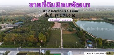ขายที่ดิน ซอย 9 -นิคมพัฒนา-ระยอง  ติดถนน พื้นที่ม่วงลาย