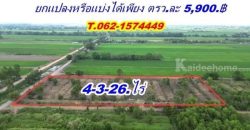ซื้อเก็บหรือเก็งกำไร ก็คุ้มค่า ที่ดินคลอง5 ยกแปลง หรือแบ่งได้ ที่ดินเพื่อการลงทุน ใกล้ทางด่วน.T.062-1574449