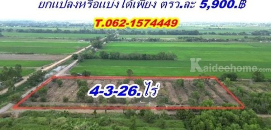 ซื้อเก็บหรือเก็งกำไร ก็คุ้มค่า ที่ดินคลอง5 ยกแปลง หรือแบ่งได้ ที่ดินเพื่อการลงทุน ใกล้ทางด่วน.T.062-1574449