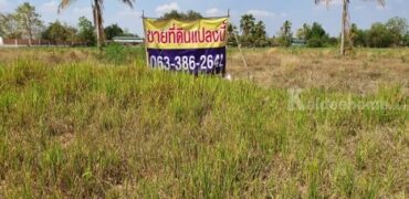 ขายที่ดินเปล่า 2-1-40 ไร่ อ.จตุรัส จ.ชัยภูมิ อยู่ในแหล่งชุมชน