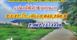 แปลงนี้ถมแล้ว ขายถูกมาก ที่ดินคลอง6 คลองหลวง ใกล้ อบต.คลอง6. ลดราคาหน้าฝน ขายถูก T.062-1574449