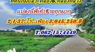 แปลงนี้ถมแล้ว ขายถูกมาก ที่ดินคลอง6 คลองหลวง ใกล้ อบต.คลอง6. ลดราคาหน้าฝน ขายถูก T.062-1574449