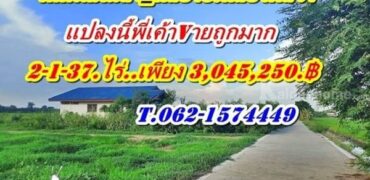 แปลงนี้ถมแล้ว ขายถูกมาก ที่ดินคลอง6 คลองหลวง ใกล้ อบต.คลอง6. ลดราคาหน้าฝน ขายถูก T.062-1574449