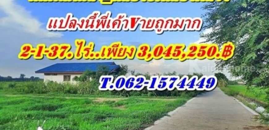 แปลงนี้ถมแล้ว ขายถูกมาก ที่ดินคลอง6 คลองหลวง ใกล้ อบต.คลอง6. ลดราคาหน้าฝน ขายถูก T.062-1574449