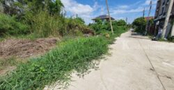 ขายที่ดินเปล่า 60 ตร.วา ถ.จันทร์ทองเอี่ยม ใกล้สถานีรถไฟฟ้าคลองบางไผ่ บางบัวทอง