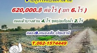 ขายถูก เจ้าของขายแค่ถอนทุน ที่คลอง9.หนองเสือ ปทุมธานี ซอย เอี่ยมสะอาด.T.062-1574449