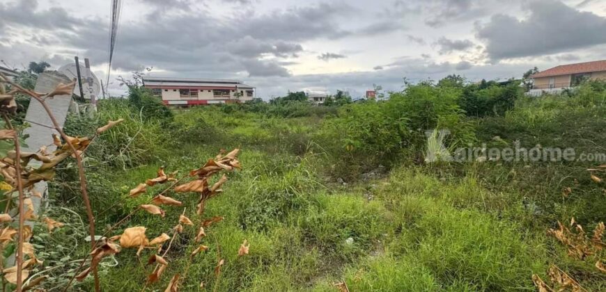 ขายที่ดินเปล่า พัทยา สีแดง ซ.สุขุมวิท 69 หนองปรือ อ.บางละมุง จ.ชลบุรี