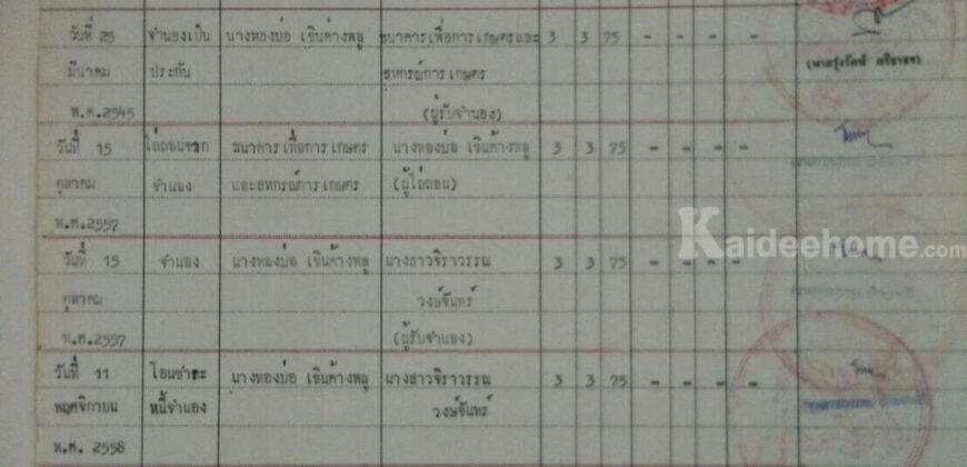 0863771698 ขายที่ดิน โคราช 3 ไร่ 3 งาน 75 ตารางวา ที่ในหมู่บ้านติดถนนคอนกรีต