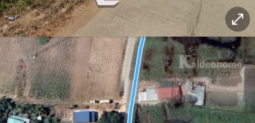 0863771698 ขายที่ดิน โคราช 3 ไร่ 3 งาน 75 ตารางวา ที่ในหมู่บ้านติดถนนคอนกรีต