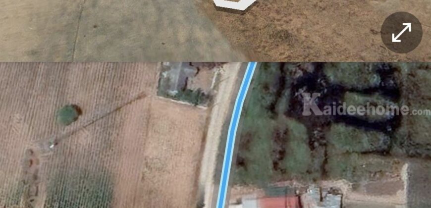 0863771698 ขายที่ดิน โคราช 3 ไร่ 3 งาน 75 ตารางวา ที่ในหมู่บ้านติดถนนคอนกรีต