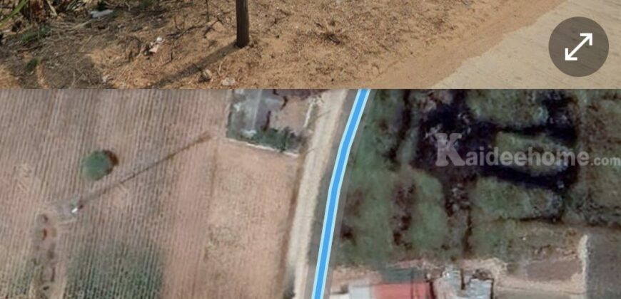 0863771698 ขายที่ดิน โคราช 3 ไร่ 3 งาน 75 ตารางวา ที่ในหมู่บ้านติดถนนคอนกรีต