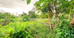 ที่ดินเปล่า 200 ตร.วา ซอยแจ้งวัฒนะ 10 – หลักสี่