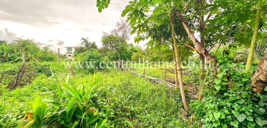 ที่ดินเปล่า 200 ตร.วา ซอยแจ้งวัฒนะ 10 – หลักสี่