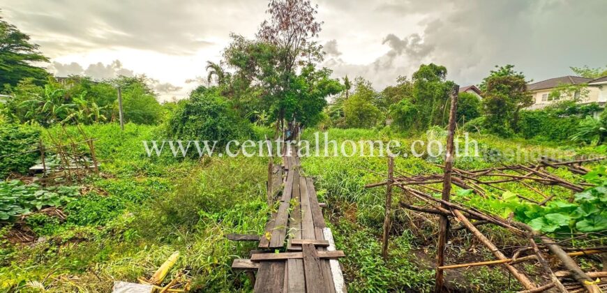 ที่ดินเปล่า 200 ตร.วา ซอยแจ้งวัฒนะ 10 – หลักสี่