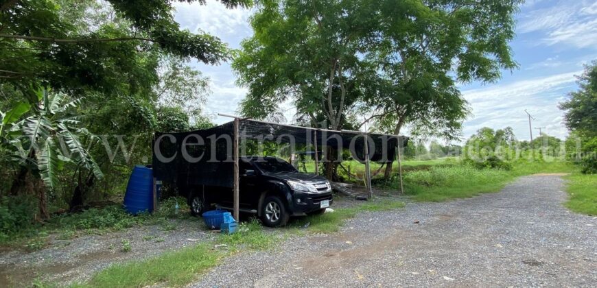 ที่ดินเปล่า ซอยคลองสี่่ตะวันออก 36/1 ปทุมธานี