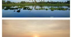 ขายที่ดินริมน้ำสามพราน ที่ดินพร้อมบ้านริมแม่น้ำท่าจีน สามพราน นครปฐม 277 ตร.ว บ้านใหม่พร้อมอยู่ หน้ากว้างติดแม่น้ำ 48 เมตร สวยมาก ติดถนนลาดยาง เดินทางสะดวกมาก ไม่ลึก ไม่เปลี่ยว 087-9074045