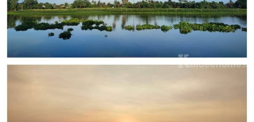 ขายที่ดินริมน้ำสามพราน ที่ดินพร้อมบ้านริมแม่น้ำท่าจีน สามพราน นครปฐม 277 ตร.ว บ้านใหม่พร้อมอยู่ หน้ากว้างติดแม่น้ำ 48 เมตร สวยมาก ติดถนนลาดยาง เดินทางสะดวกมาก ไม่ลึก ไม่เปลี่ยว 087-9074045