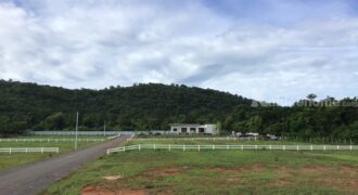 ขายที่เขาใหญ่ 2 ไร่ หนองสาหร่าย ปากช่อง นครราชสีมา วิวเขาสวย น้ำไฟพร้อม ใกล้ The Paz เซเว่น ปั้ม ปตท ใกล้เส้น 2235 ขายถูกมาก แปลงเล็ก หายากมาก ราคาพิเศษช่วงนี้เท่านั้น 087-907-4045