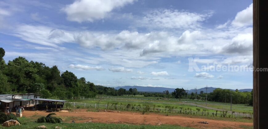 ขายที่เขาใหญ่ 2 ไร่ หนองสาหร่าย ปากช่อง นครราชสีมา วิวเขาสวย น้ำไฟพร้อม ใกล้ The Paz เซเว่น ปั้ม ปตท ใกล้เส้น 2235 ขายถูกมาก แปลงเล็ก หายากมาก ราคาพิเศษช่วงนี้เท่านั้น 087-907-4045