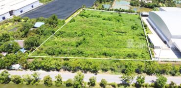 ขายที่ดิน พุทธมณฑลสาย 8 นครปฐม ตำบลขุนแก้ว นครชัยศรี 9-2-88.7 ไร่ พื้นที่สีเขียว