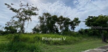 ขายที่ดินหมู่บ้านปัญญาบางพระ ทำเลทอง อ.ศรีราชา จ.ชลบุรี พื้นที่ 450 ตารางวา เหมาะสร้างบ้านอยู่อาศัย โทร 063-469-5592