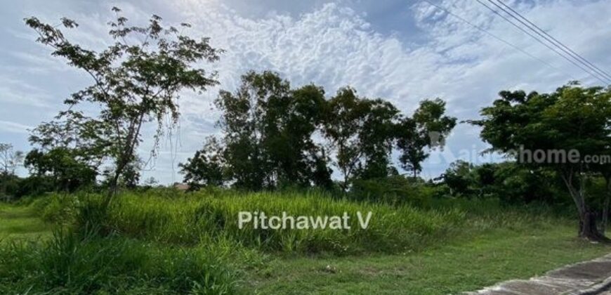 ขายที่ดินหมู่บ้านปัญญาบางพระ ทำเลทอง อ.ศรีราชา จ.ชลบุรี พื้นที่ 450 ตารางวา เหมาะสร้างบ้านอยู่อาศัย โทร 063-469-5592