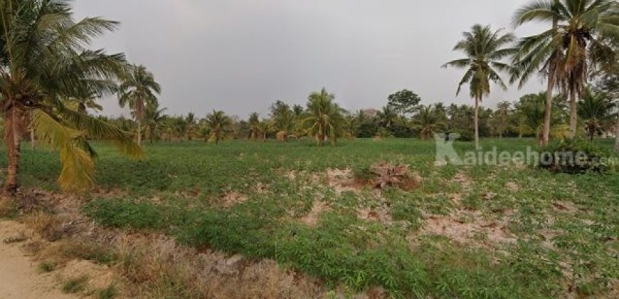 ขายที่ดินเปล่า 7 ไร่ 54 ตร.ว. ต.ตะเคียนเตี้ย อ.บางละมุง จ.ชลบุรี ใกล้แหล่งท่องเที่ยวมากมาย น่าลงทุน โทร 082-547-9820