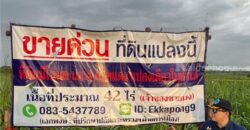 ด่วน ขายที่ดินแม่สอด-ห้วยกระโหลก จำนวน42ไร่ ***(ที่ดินมีโฉนด นส.4 ครุฑแดง แปลงเดียวในย่านนี้)