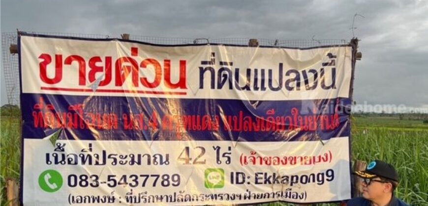 ด่วน ขายที่ดินแม่สอด-ห้วยกระโหลก จำนวน42ไร่ ***(ที่ดินมีโฉนด นส.4 ครุฑแดง แปลงเดียวในย่านนี้)