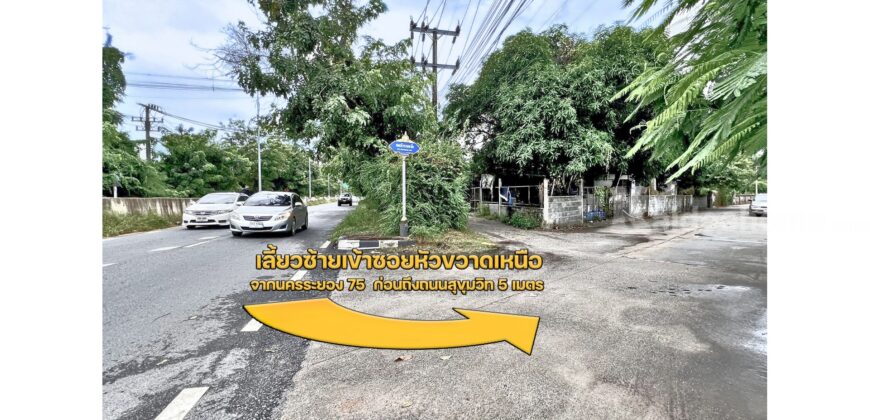 ขายที่ดิน ระยอง เชิงเนิน เมืองระยอง แปลงมุม ถมแล้ว เนื้อที่ 104.5 ตร.ว. ซอยหัวขวาดเหนือ ใกล้ถนนสุขุมวิท ผังสีแดง