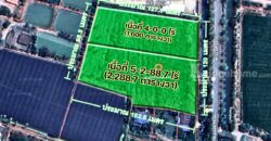 ขายที่ดิน ตำบลขุนแก้ว นครปฐม ติดถนนพุทธมณฑลสาย 8 เกือบ 10 ไร่ รูปแปลงสวย