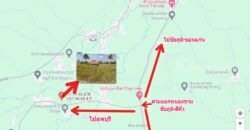 ขายที่ดินเปล่า 2-1-40 ไร่ อ.จตุรัส จ.ชัยภูมิ อยู่ในแหล่งชุมชน