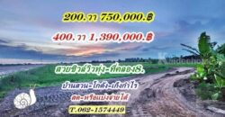 สวยชิวล์วิวทุ่ง สดหรือแบ่งจ่ายได้ที่คลอง8แปลงใหม่ที่ดินสวยขายถูก T.062-1574449