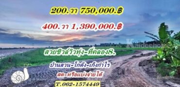 สวยชิวล์วิวทุ่ง สดหรือแบ่งจ่ายได้ที่คลอง8แปลงใหม่ที่ดินสวยขายถูก T.062-1574449