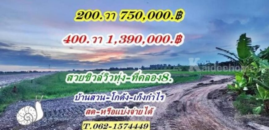 สวยชิวล์วิวทุ่ง สดหรือแบ่งจ่ายได้ที่คลอง8แปลงใหม่ที่ดินสวยขายถูก T.062-1574449